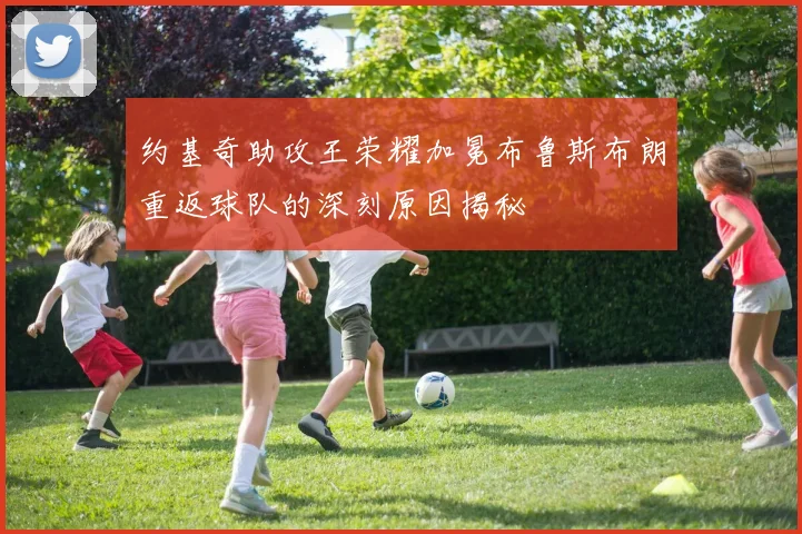 约基奇助攻王荣耀加冕布鲁斯布朗重返球队的深刻原因揭秘